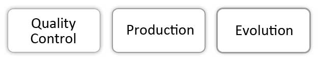 Production Process